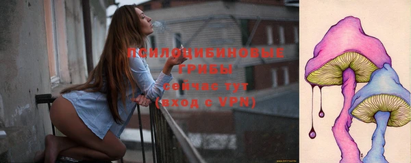 шишки Коряжма