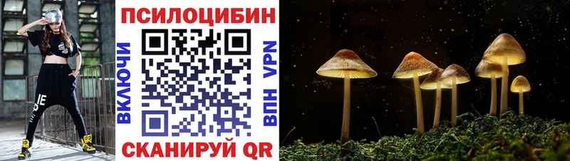 Купить где  Сосновоборск  Псилоцибиновые грибы Psilocybine cubensis 